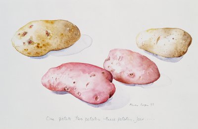 Potato Study, 1993 by Alison Cooper